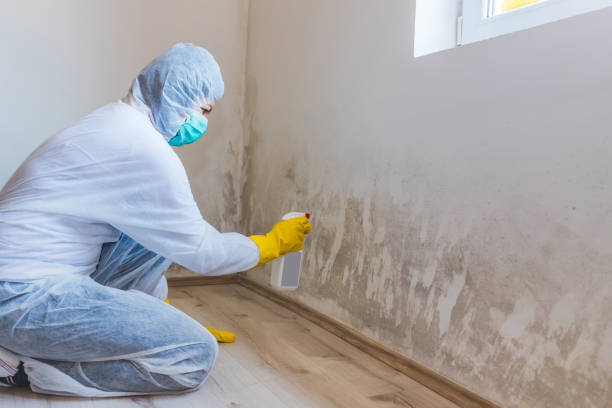 Licensed Mold Remediation service in Lynbrook, NY - WQB Mold Removal