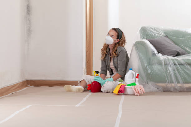 Reliable Mold Remediation contractor in Lynbrook, NY by WQB Mold Removal